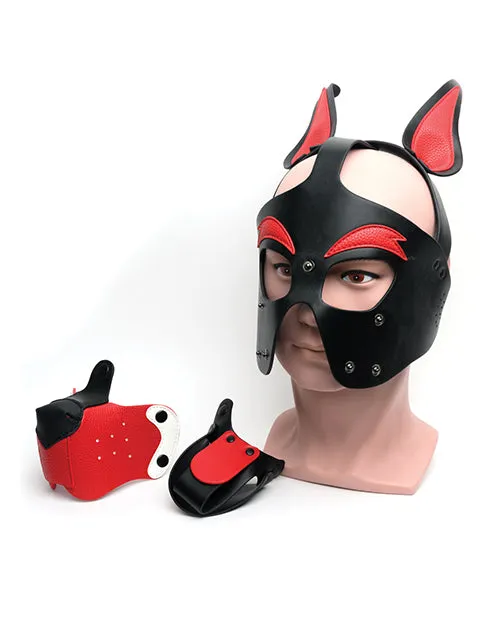 665 Playful Pup Hood