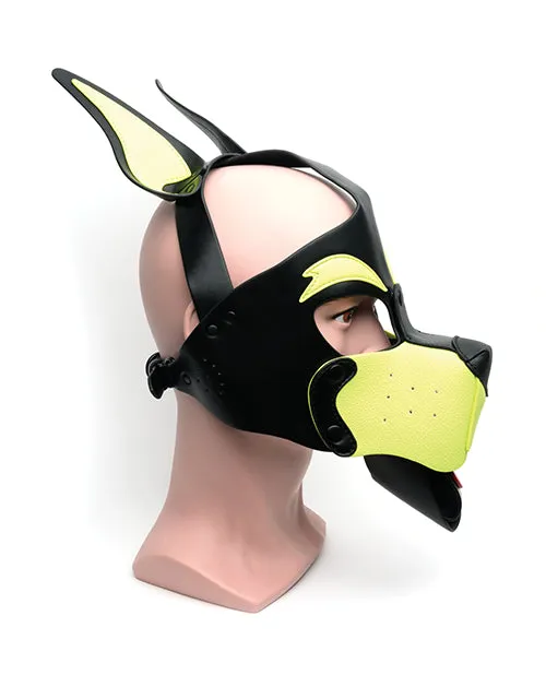 665 Playful Pup Hood