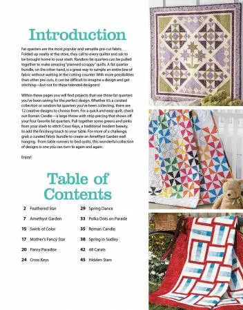 Fat-Quarter Friendly Quilts Book