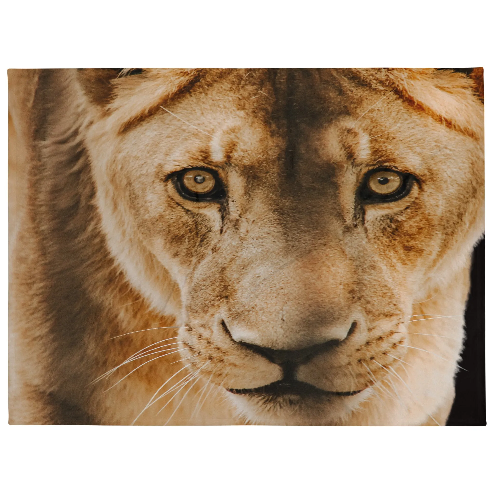 Lion head print throw blanket