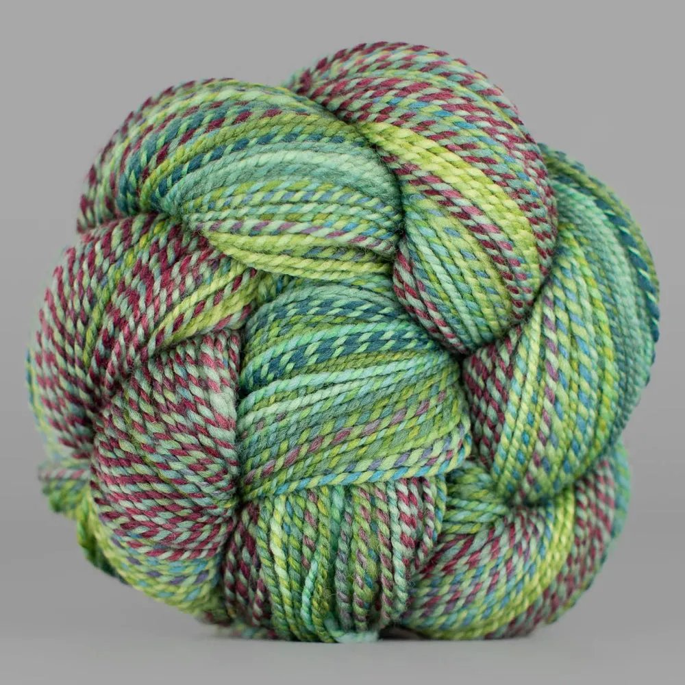 Spincycle Dyed in the Wool